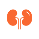 Nephrology Logo